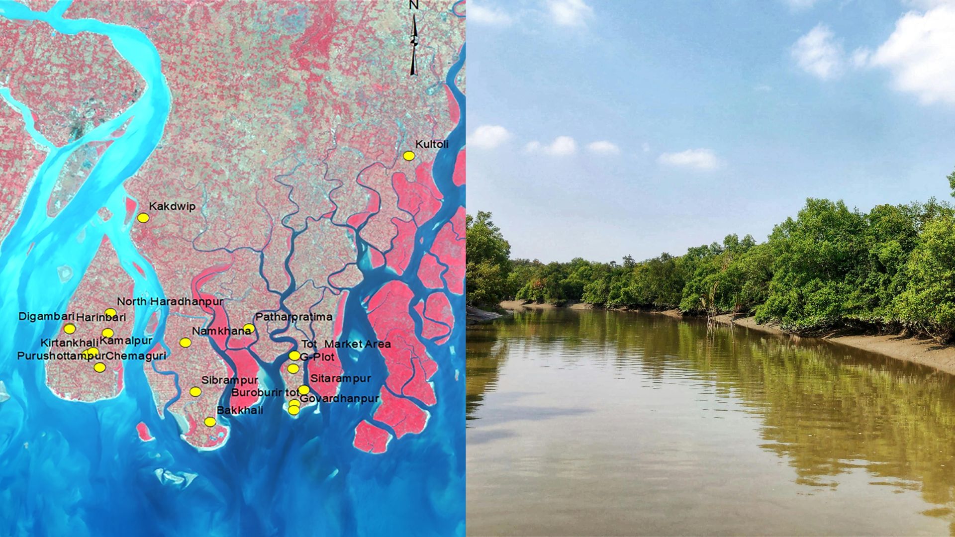 Salt-tolerant microbes could improve agriculture in the Indian Sundarbans